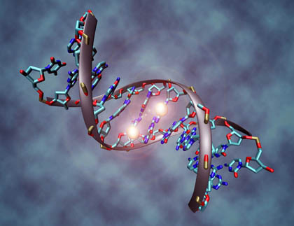 Methylated DNA